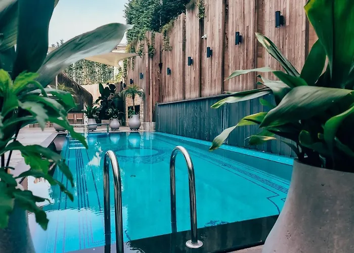 Отель Dosso Dossi & Golden Horn Стамбул