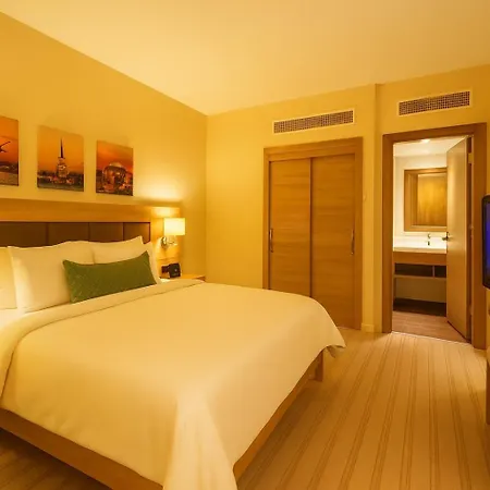 Dosso Dossi & Golden Horn Istanboel